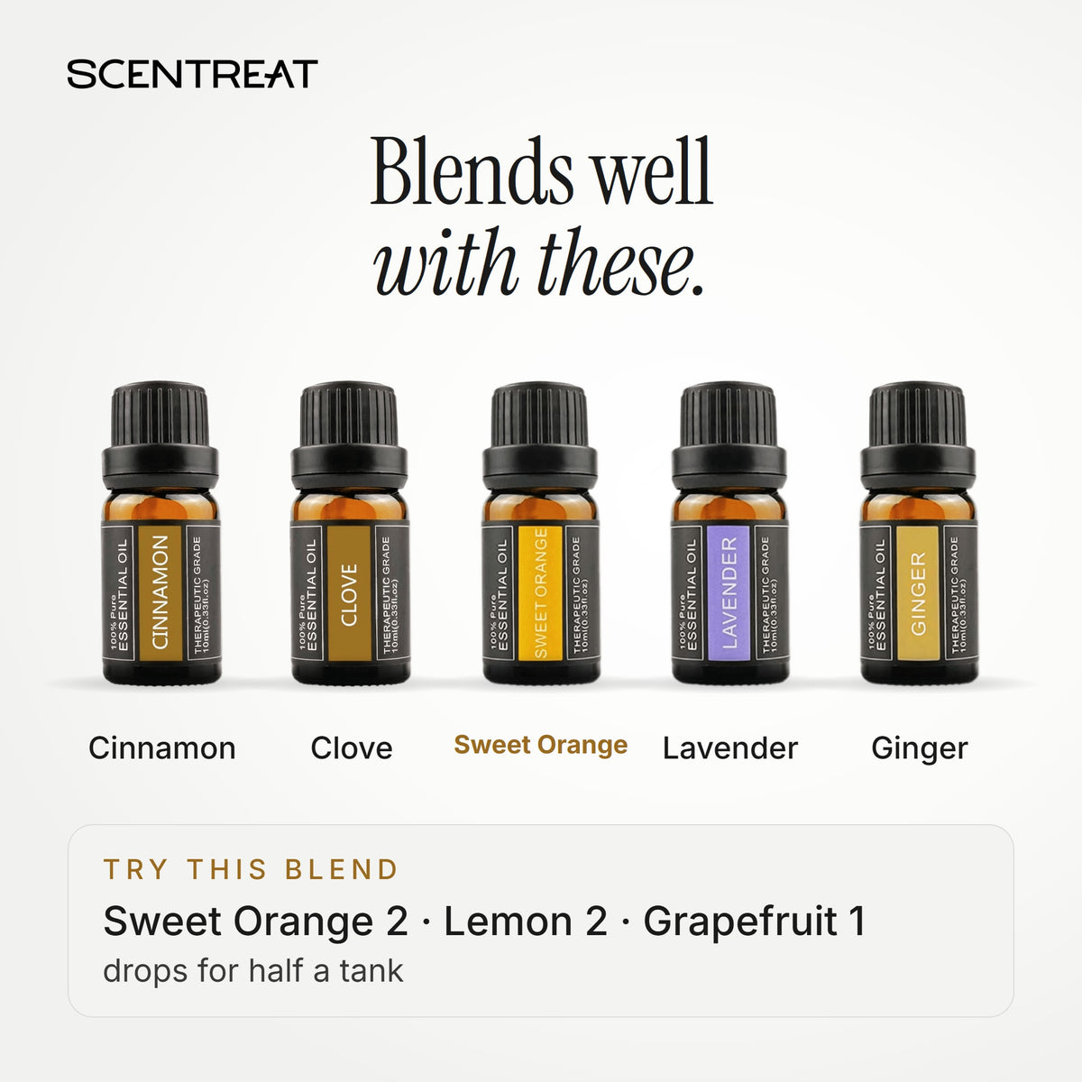Sweet Orange essential oil blends well with Cinnamon, Clove, Lavender