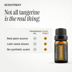 Pure tangerine essential oil vs synthetic fragrance oil