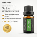 100% pure tea tree essential oil, fresh, medicinal, earthy