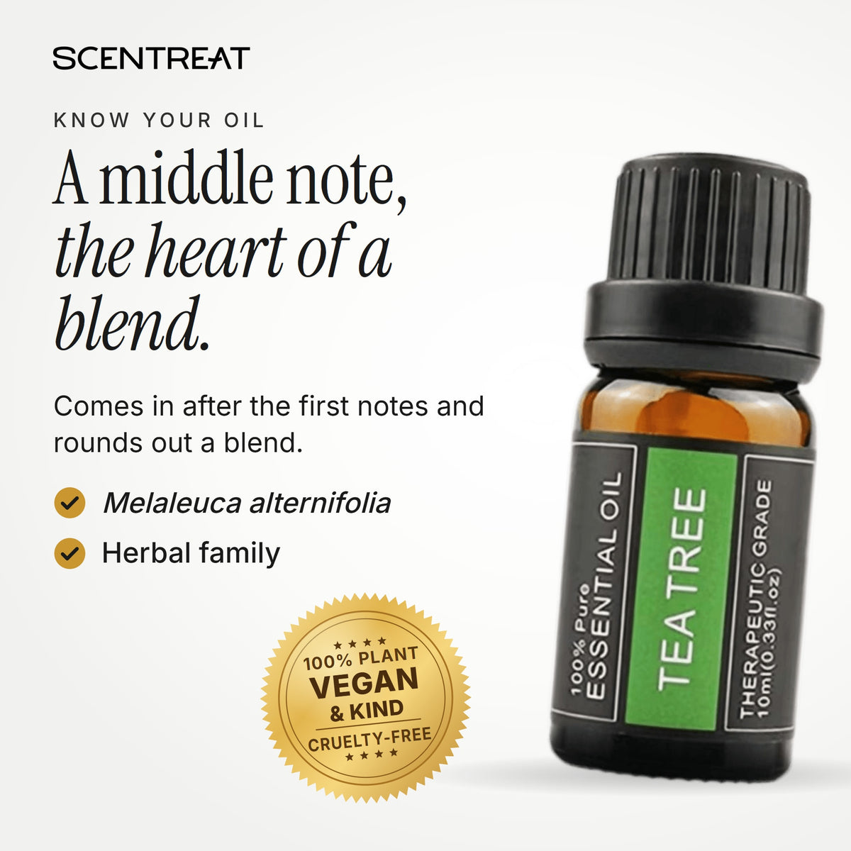 Tea Tree essential oil (Melaleuca alternifolia), a middle note