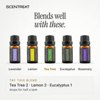 Tea Tree essential oil blends well with Lavender, Lemon, Eucalyptus