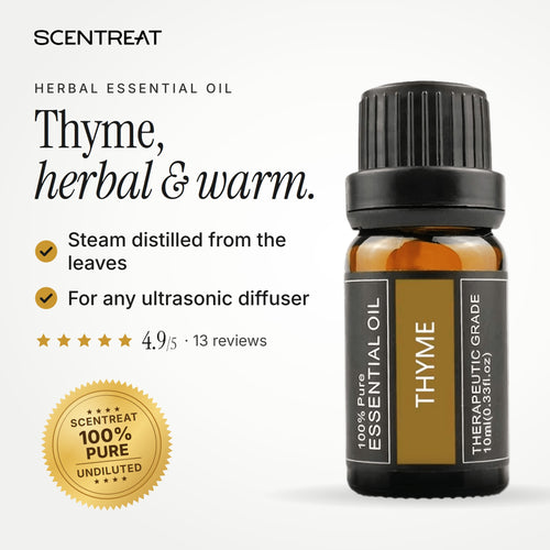 100% pure thyme essential oil, herbal, warm, slightly spicy