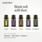 Thyme essential oil blends well with Lemon, Rosemary, Lavender