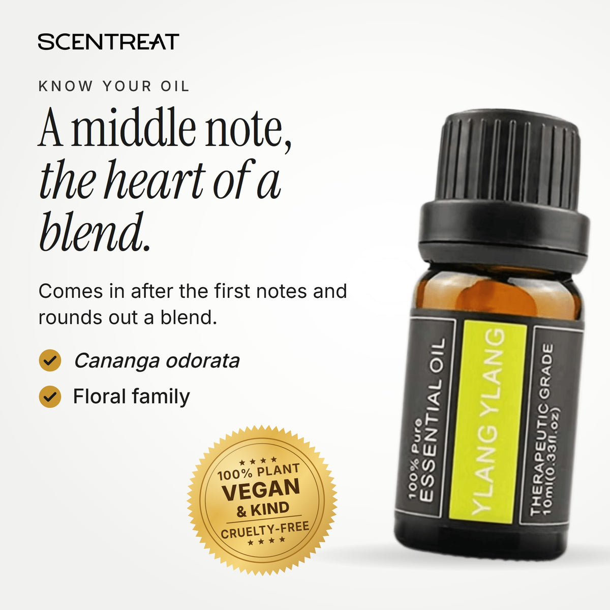 Ylang Ylang essential oil (Cananga odorata), a middle to base note