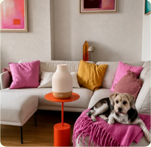 Ceramic diffuser in a bright living room